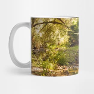 Photo of Peaceful Jungle Stream in California V1 Mug